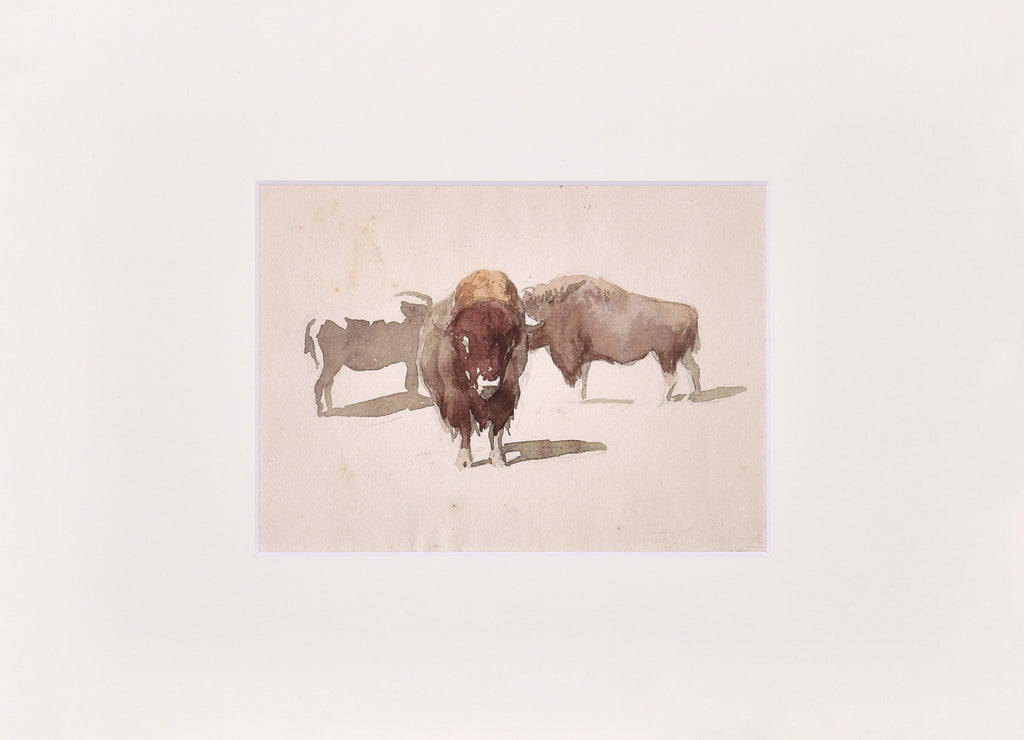 Fac-similé Étude de bisons