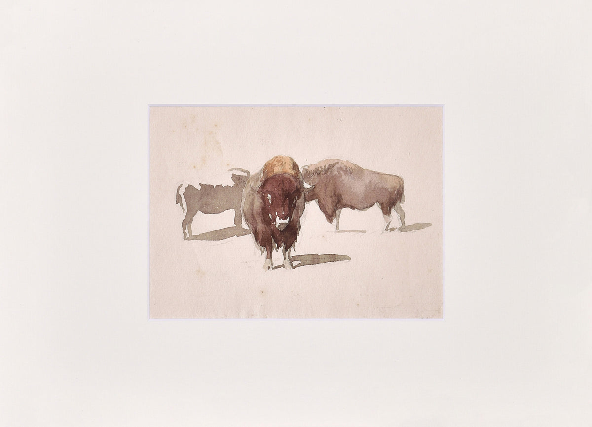 Fac-similé Étude de bisons
