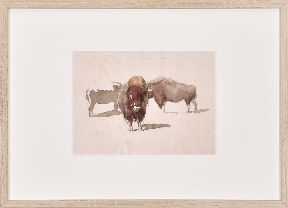 Fac-similé Étude de bisons